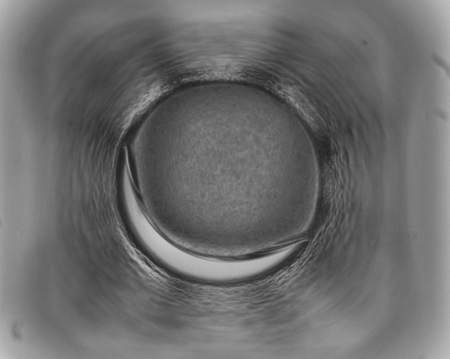 X0000098020677200804071354