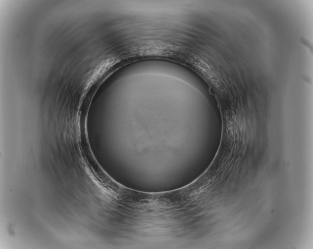 X0000098020678200804071354