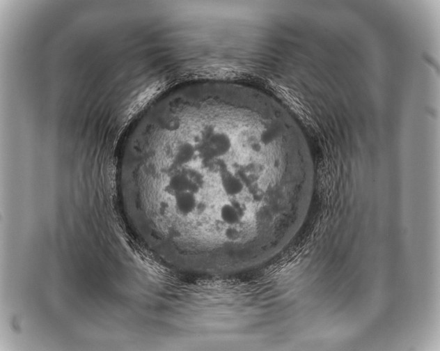 X0000098020679200804071354