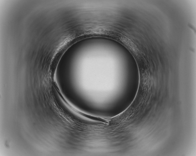 X0000098020680200804071354