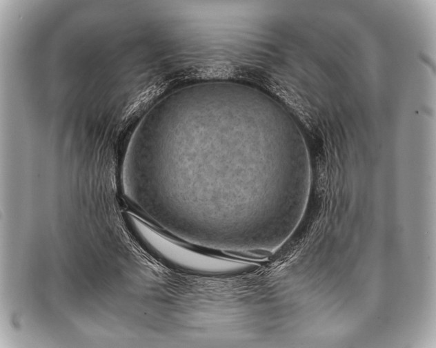 X0000098020681200804071354