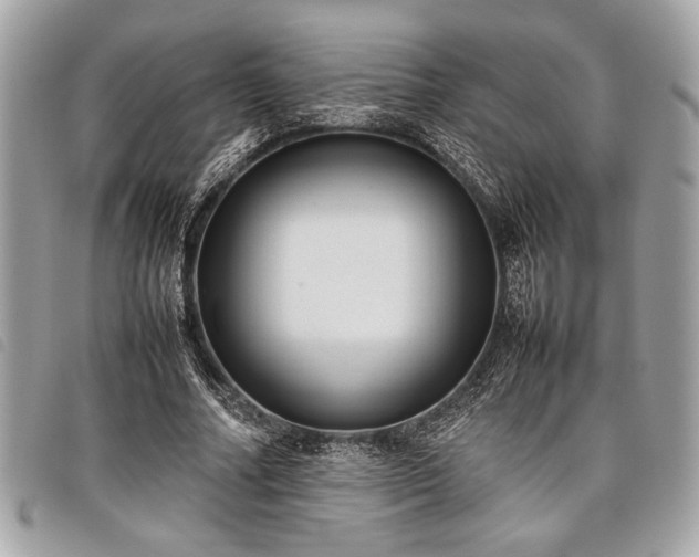 X0000098020682200804071354