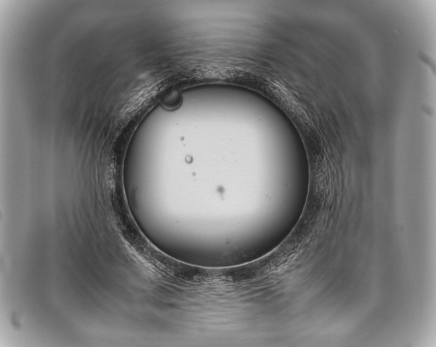 X0000098020683200804071354