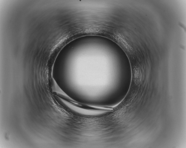 X0000098020684200804071354