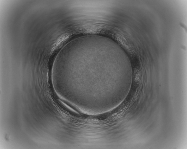 X0000098020685200804071354