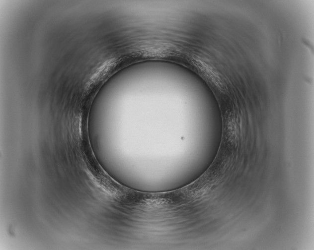 X0000098020686200804071354