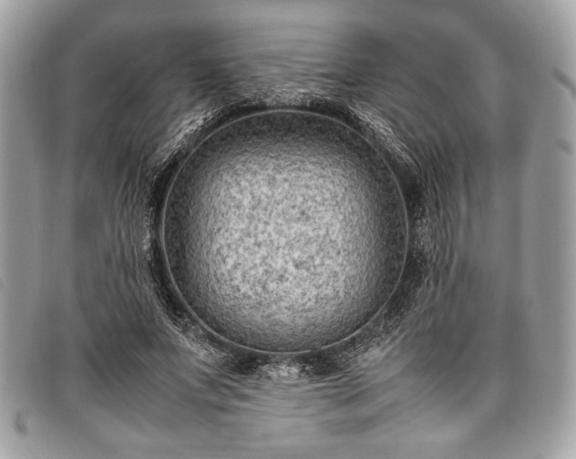 X0000098020687200804071354