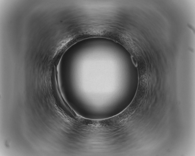 X0000098020688200804071354