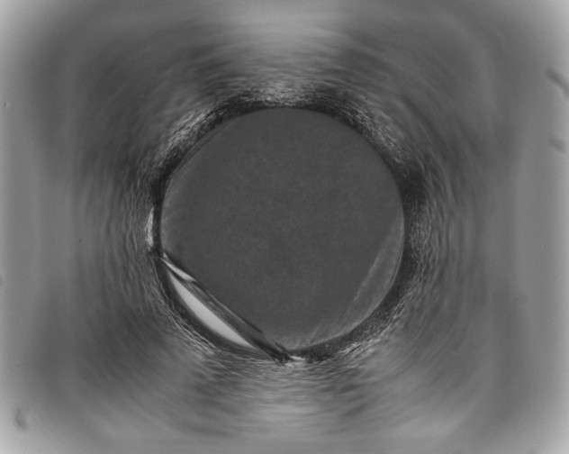 X0000098020689200804071354