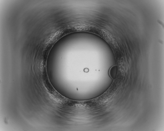 X0000098020690200804071354