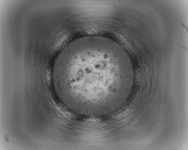 X0000098020691200804071354