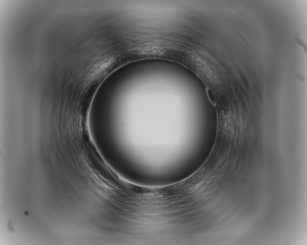 X0000098020692200804071354