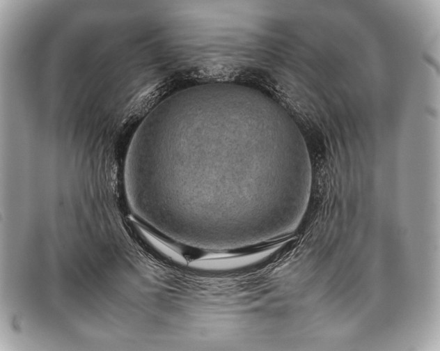 X0000098020693200804071354