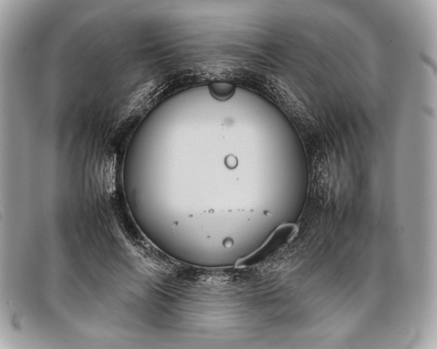 X0000098020694200804071354