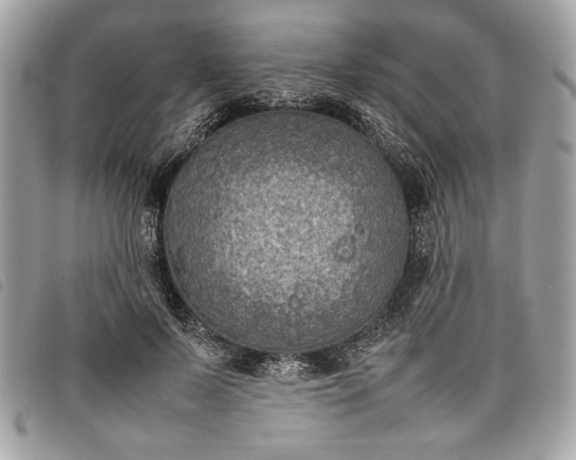 X0000098020695200804071354