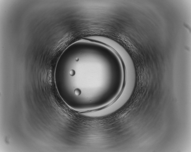 X0000098020696200804071354