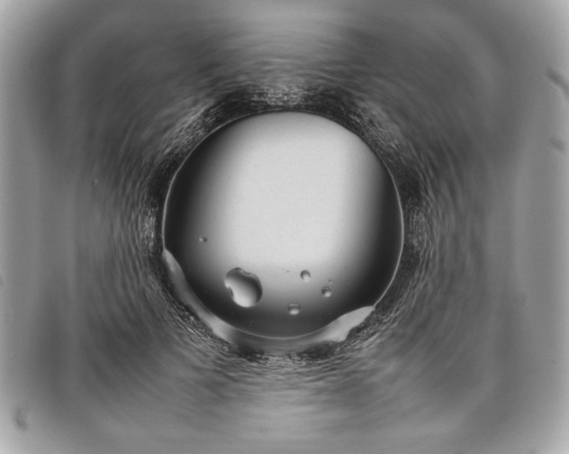 X0000098020697200804071354