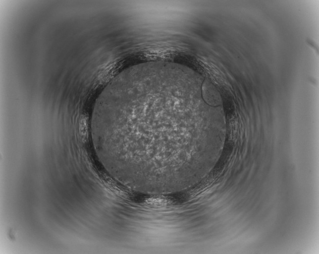 X0000098020699200804071354