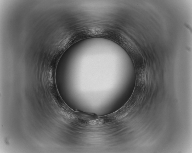 X0000098020700200804071354