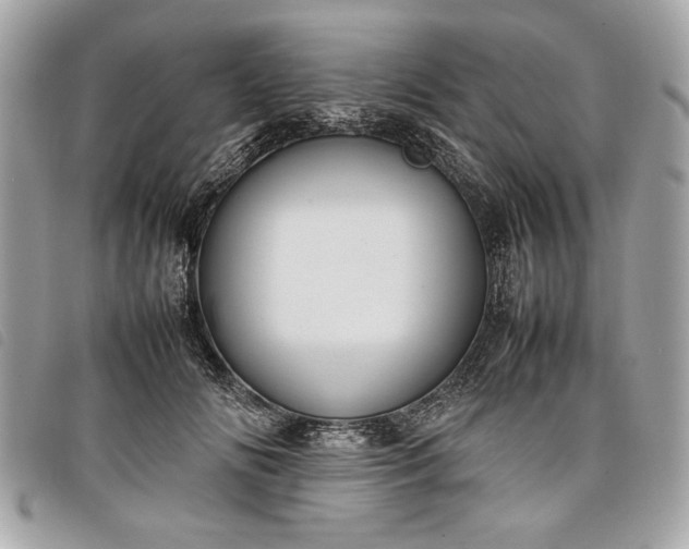 X0000098020702200804071354