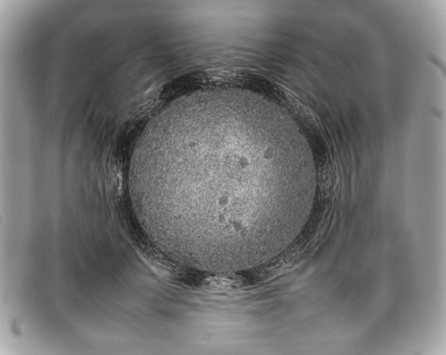 X0000098020703200804071354