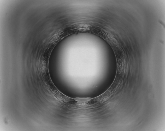 X0000098020704200804071354