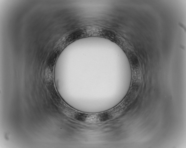 X0000098020705200804071354