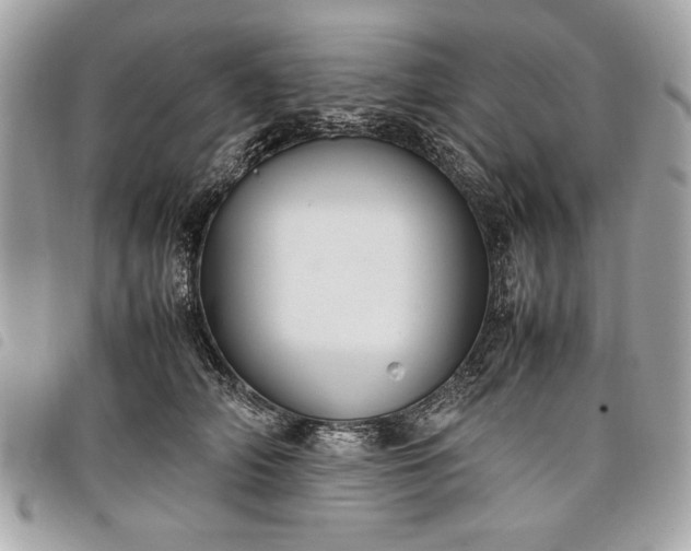 X0000098020706200804071354