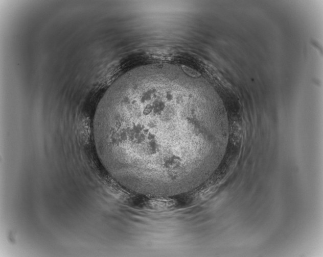 X0000098020707200804071354