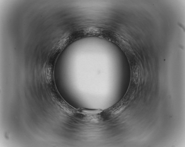 X0000098020708200804071353