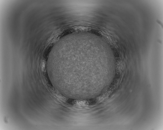 X0000098020709200804071353