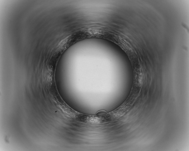 X0000098020710200804071353