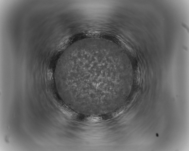 X0000098020711200804071353