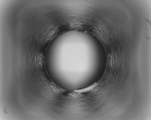 X0000098020712200804071353