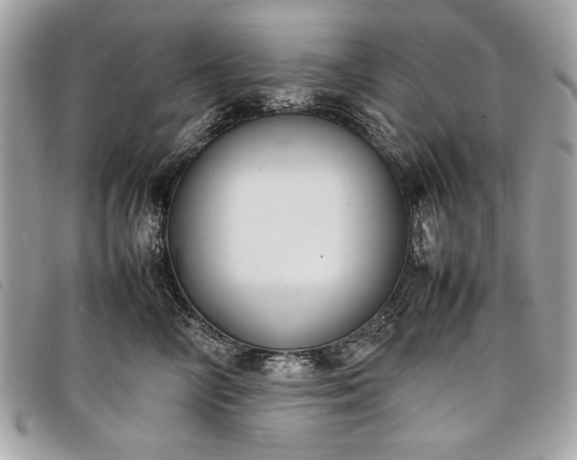 X0000098020714200804071353