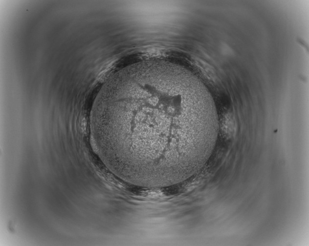 X0000098020715200804071353