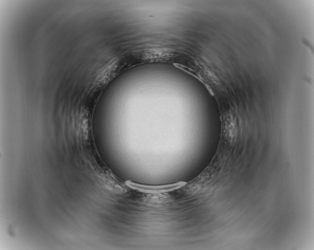 X0000098020716200804071353