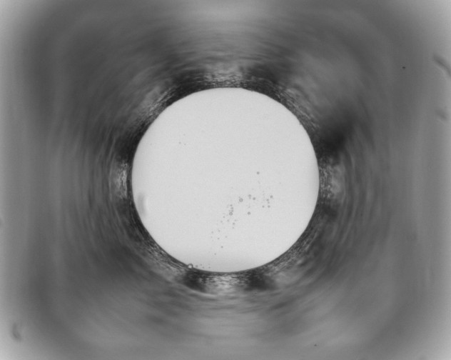 X0000098020717200804071353