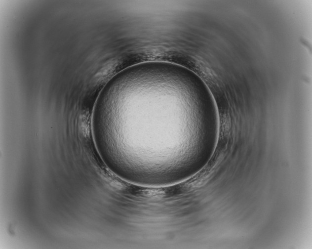 X0000098020719200804071353