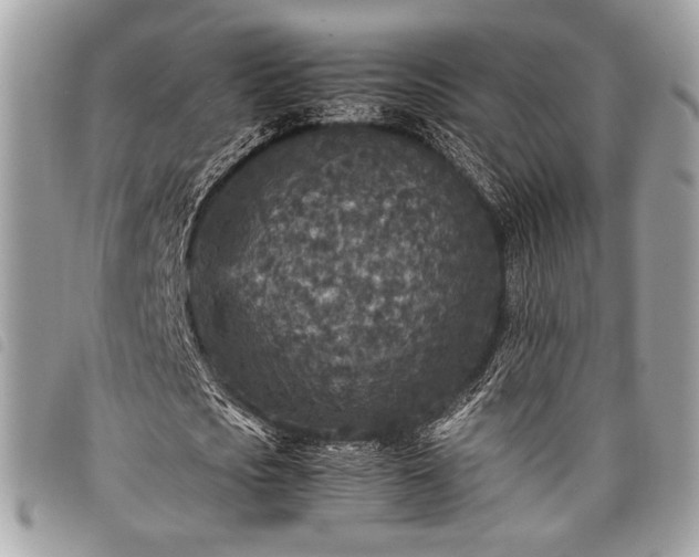 X0000098020721200804071352