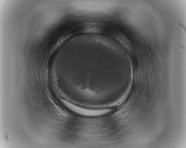 X0000098020722200804071353