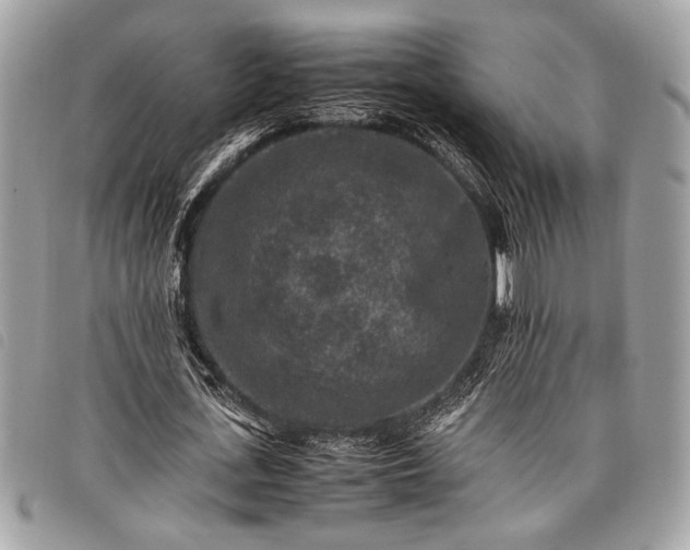 X0000098020723200804071353