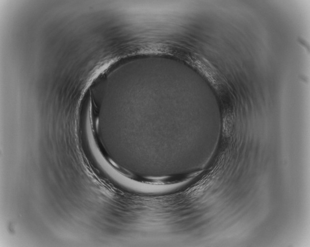 X0000098020724200804071353