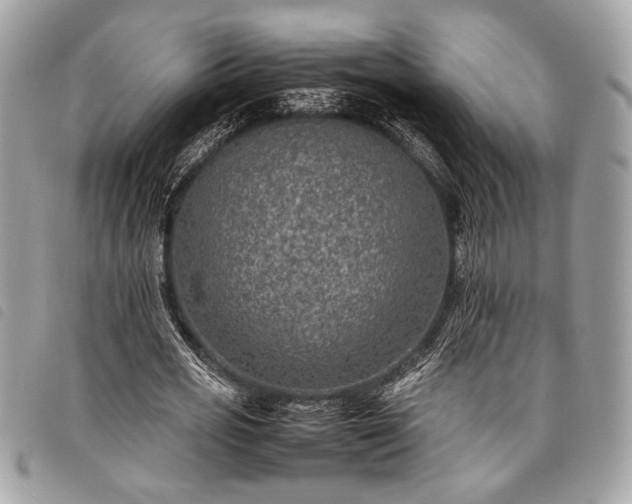 X0000098020725200804071353