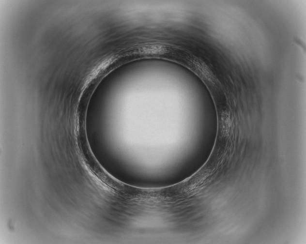 X0000098020726200804071353