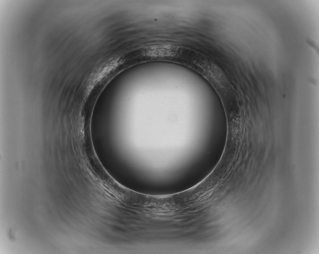 X0000098020727200804071353