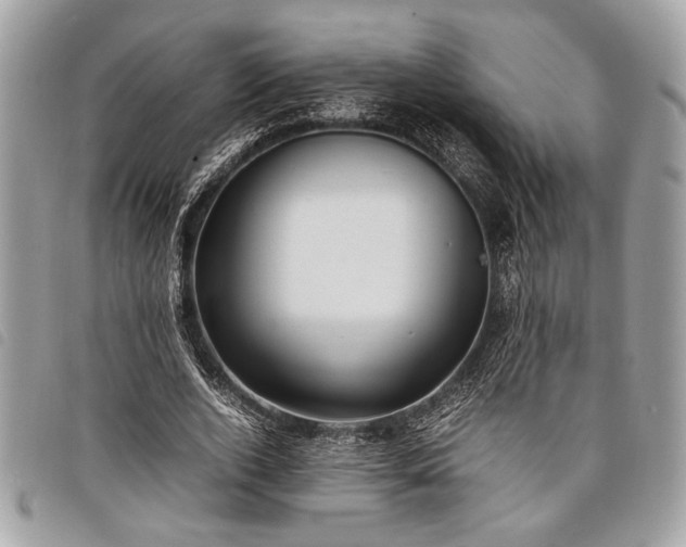 X0000098020728200804071353