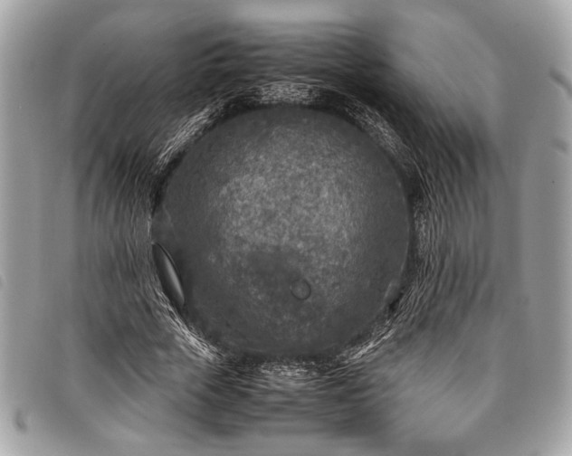 X0000098020729200804071353