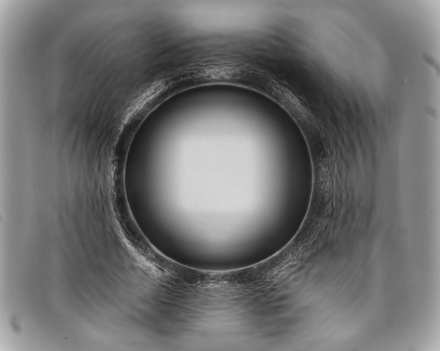 X0000098020730200804071353