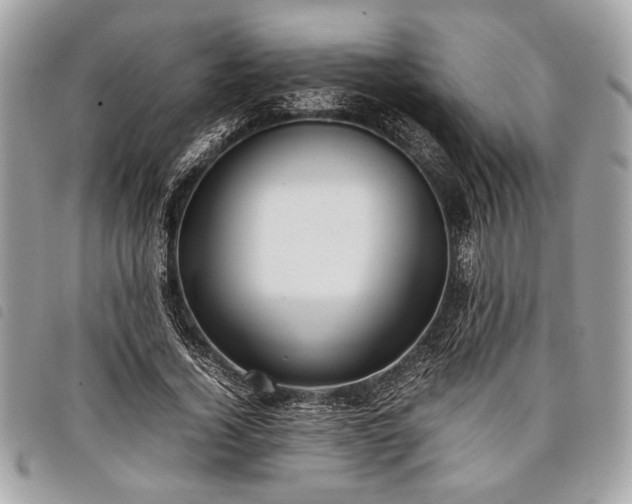 X0000098020732200804071353